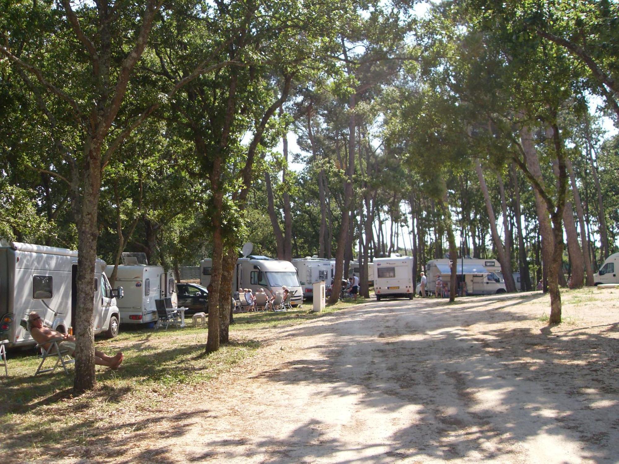 Villaggio Camping Bosco Selva ألبيروبيللو المظهر الخارجي الصورة