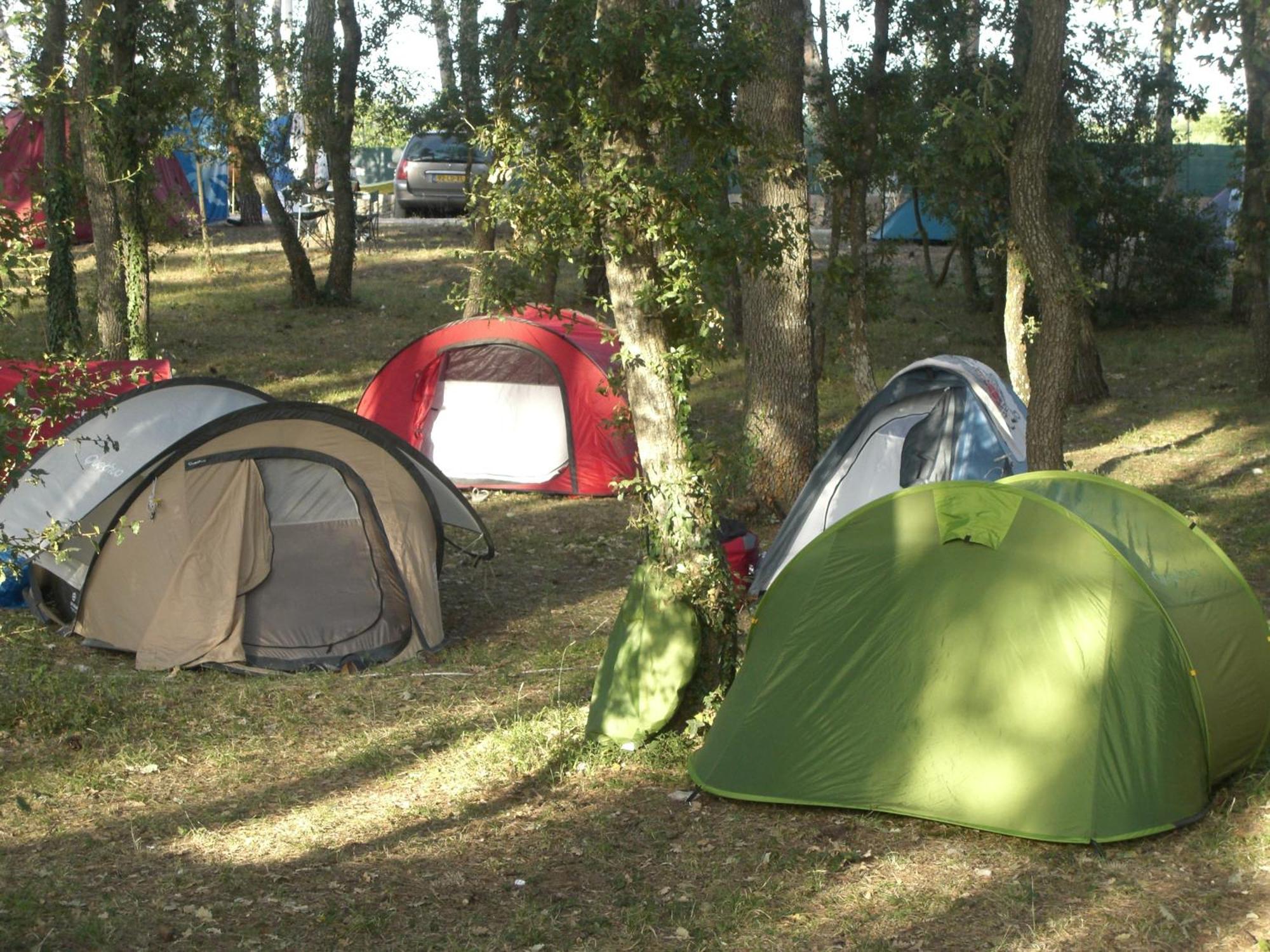 Villaggio Camping Bosco Selva ألبيروبيللو المظهر الخارجي الصورة