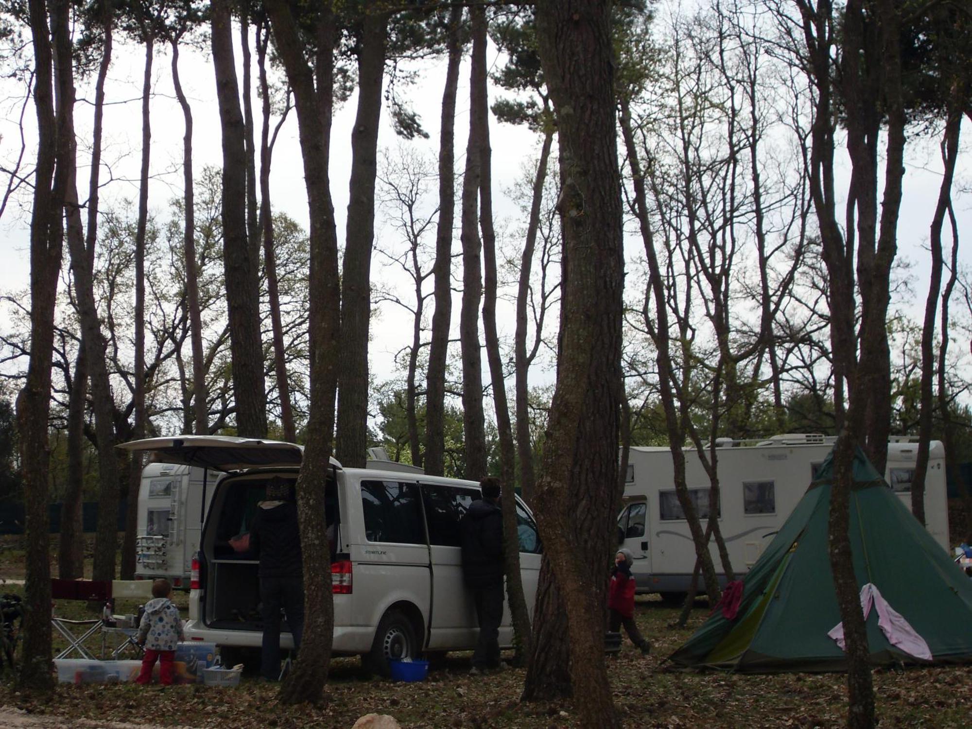 Villaggio Camping Bosco Selva ألبيروبيللو المظهر الخارجي الصورة