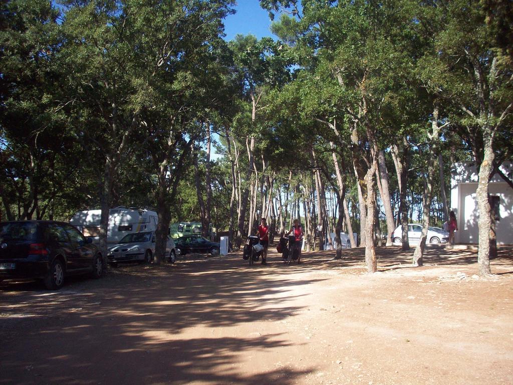 Villaggio Camping Bosco Selva ألبيروبيللو المظهر الخارجي الصورة