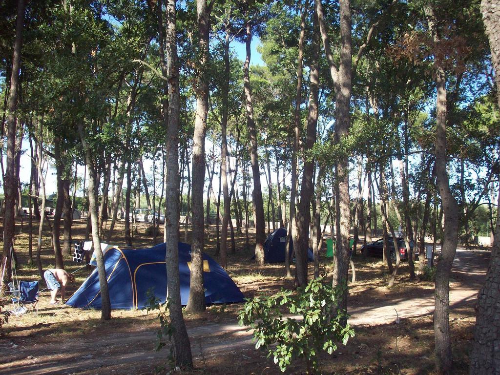 Villaggio Camping Bosco Selva ألبيروبيللو المظهر الخارجي الصورة