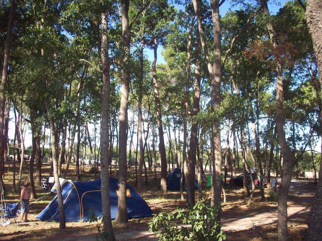 Villaggio Camping Bosco Selva ألبيروبيللو المظهر الخارجي الصورة
