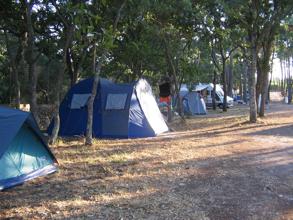 Villaggio Camping Bosco Selva ألبيروبيللو المظهر الخارجي الصورة