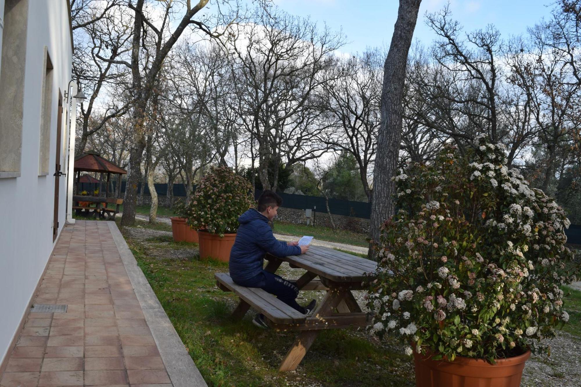 Villaggio Camping Bosco Selva ألبيروبيللو المظهر الخارجي الصورة